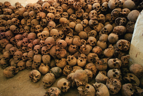 44331-Pile-Of-Skulls